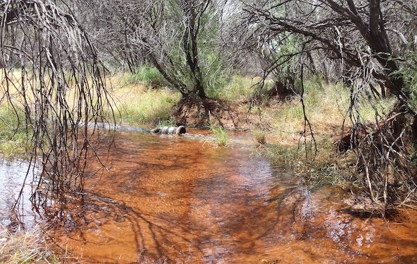Kin-Mining-Project-HYDROGEOLOGIST-CONSULTANT-PERTH-GROUNDWATER-CONSULTANT-SPECIALIST-GDS-WATER-PERTH-02 HYDROGEOLOGIST-CONSULTANT-PERTH-Controlled groundwater discharge during test pumping of new production bores to support dust suppression, mill and general mine water requirements.